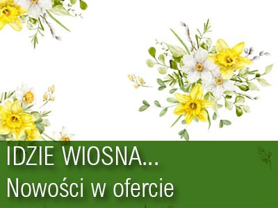 majÓwka ban